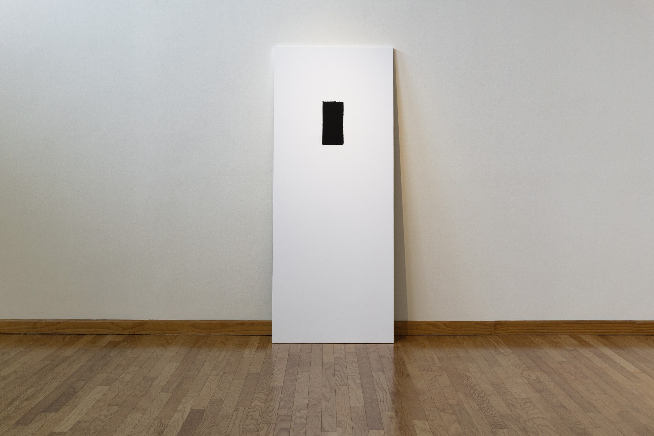 Camera Obscura / Active Shooter
Analog photogram (reproduced as archival inkjet print), MDF
84 x 34 x 1 in.
2026
