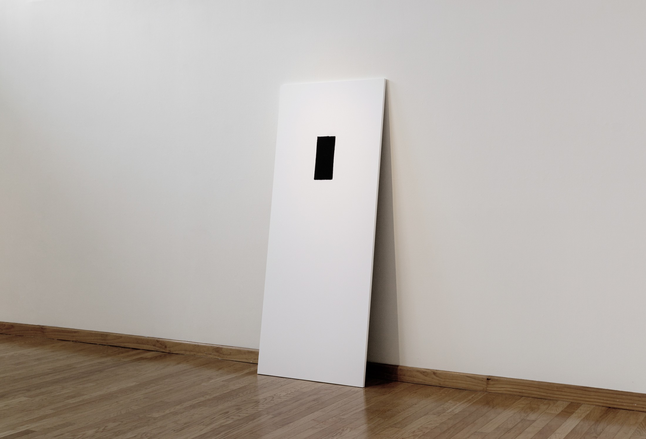 Camera Obscura / Active Shooter
Analog photogram reproduction (archival inkjet print), MDF
84 x 34 x 1 in.
2026
