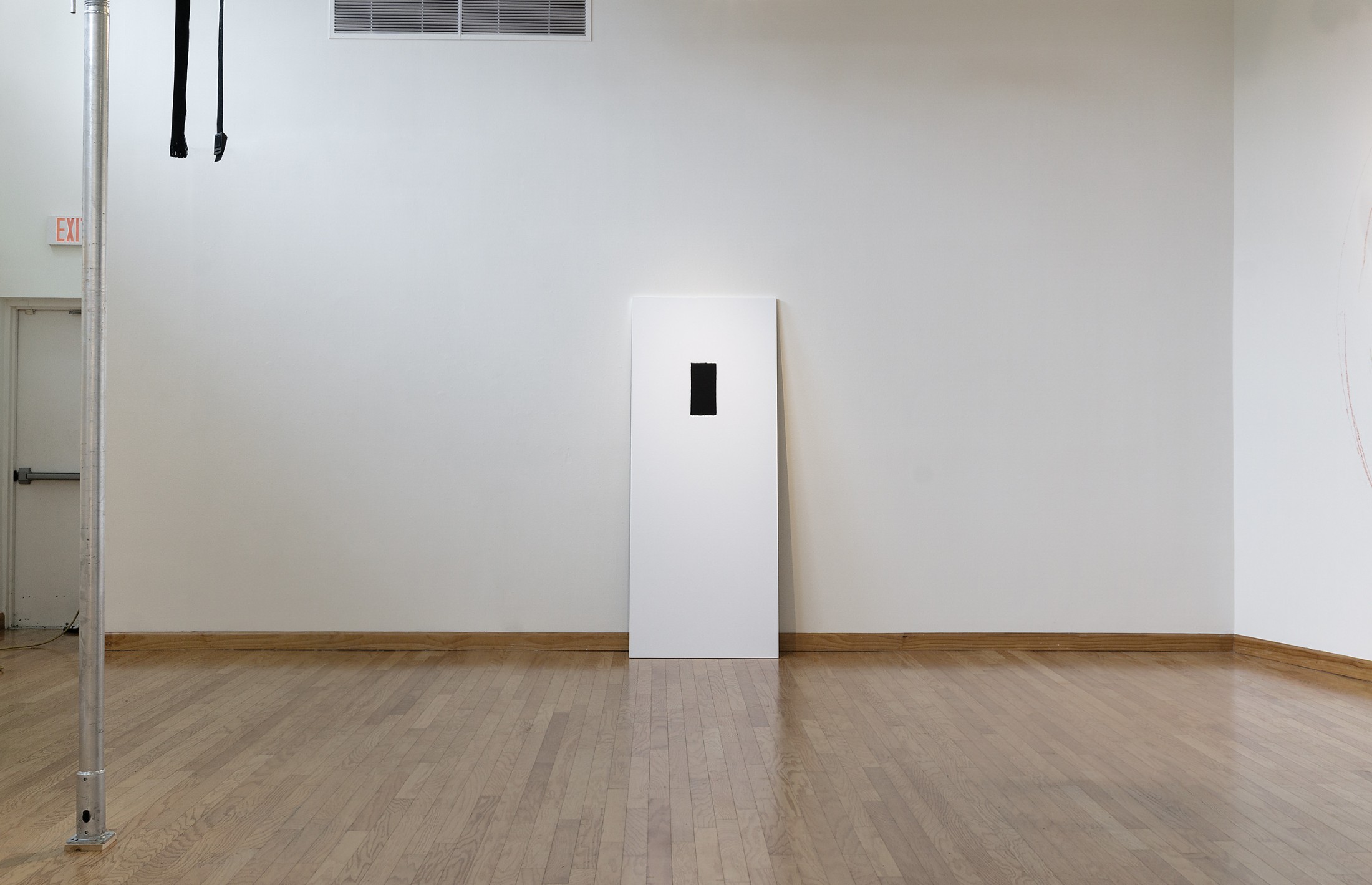 Camera Obscura / Active Shooter
Analog photogram (reproduced as archival inkjet print), MDF
84 x 34 x 1 in.
2026
